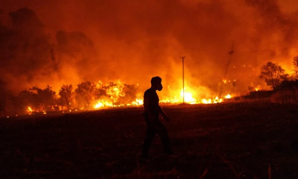 Αντιπυρική περίοδος: Έντονη ανησυχία για δασικές πυρκαγιές λόγω υψηλών θερμοκρασιών και άνυδρου χειμώνα (Βίντεο)